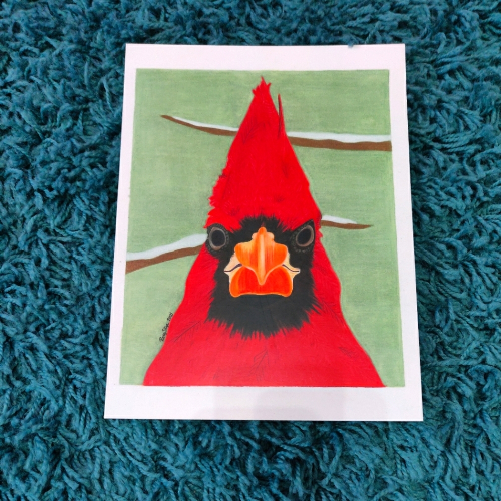Cardinal Art Print
